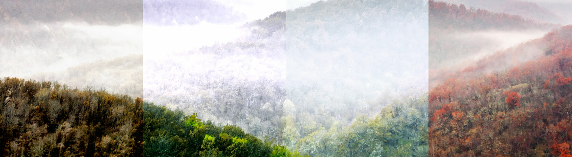 Header Image on Subpage