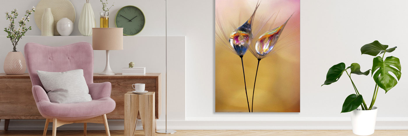 Header Image on Subpage