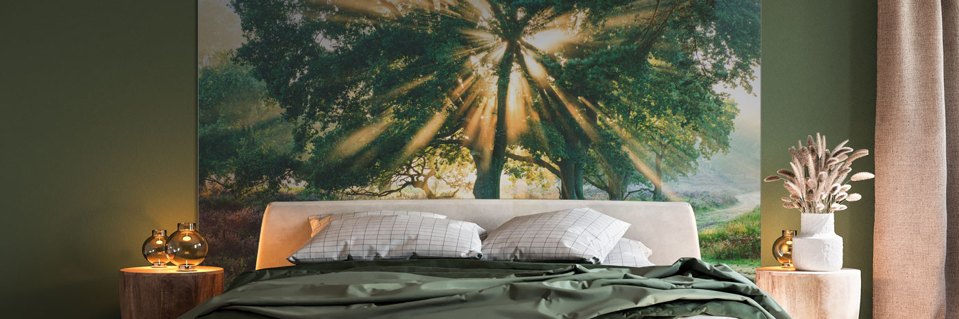 Header Image on Subpage