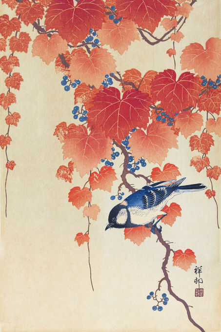 Koolmees op paulownia tak