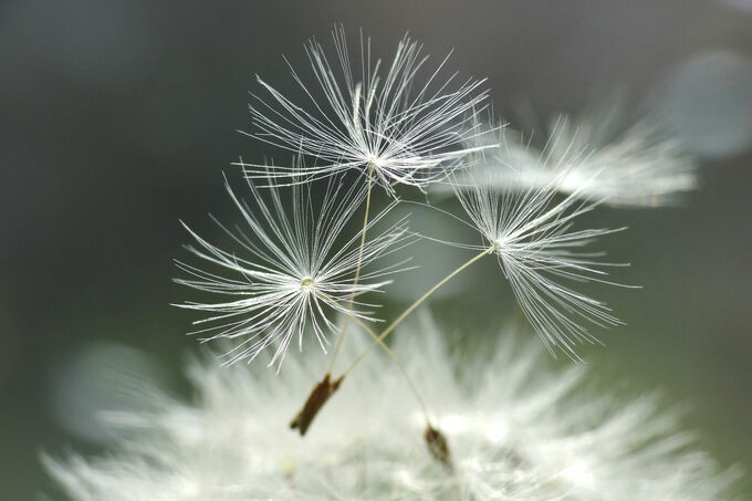 Liggend 3:2 (taupe + bank) template A