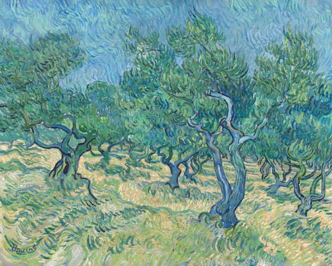 Olivenhain - Vincent van Gogh