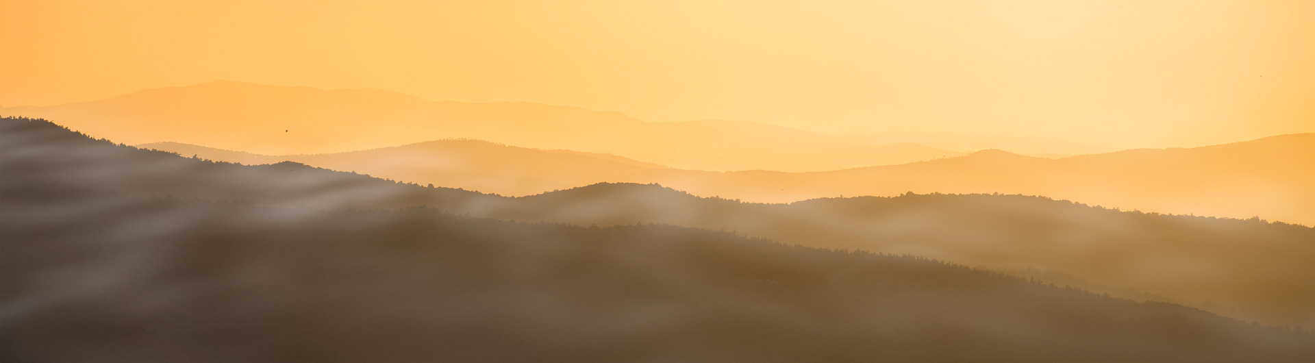 Header Image on Subpage